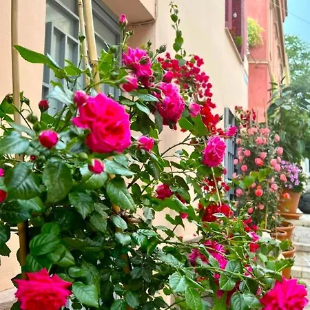 The Acropolis House Of Flowers~private Roof Garden Vakantiehuis Athene