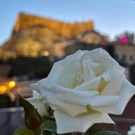 The Acropolis House Of Flowers~private Roof Garden