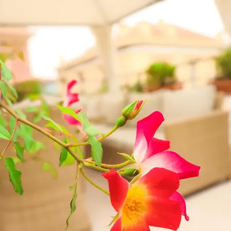 The Acropolis House Of Flowers~private Roof Garden